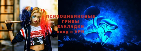 героин Каменка