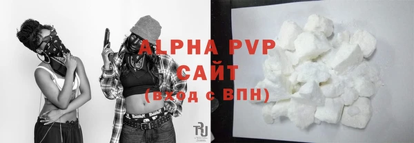 сатива Каменногорск