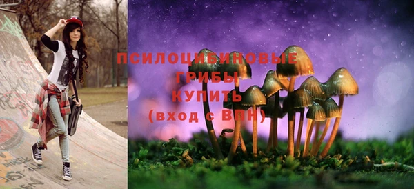 герыч Михайловск